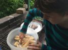 image16.jpeg